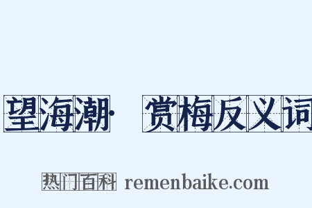 望海潮·赏梅反义词是什么意思的图片